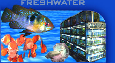 FreshWater